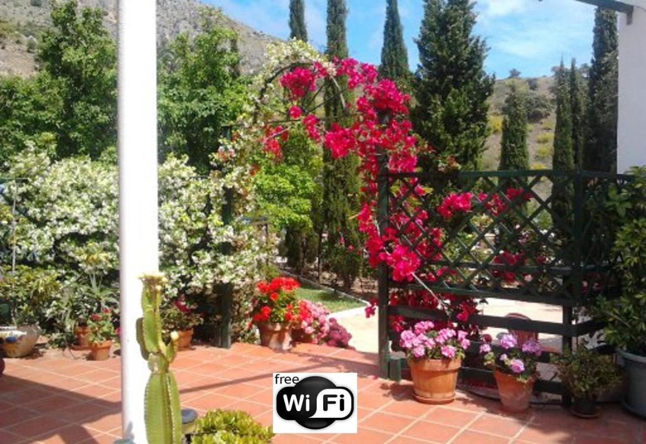 Finca Santa Matilde Malaga Exterior photo